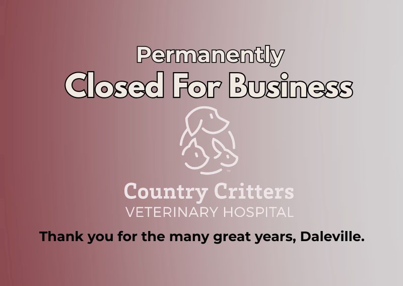 Carousel Slide 1: Learn More