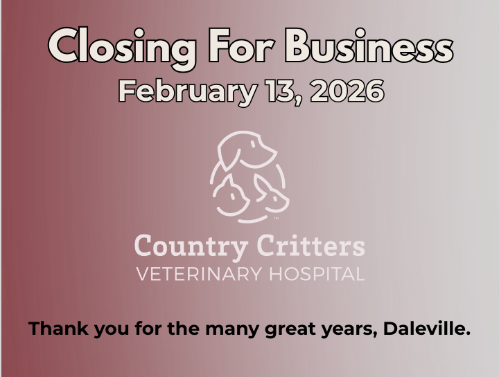 Country Critters Veterinary Hospital to Close February 13, 2026